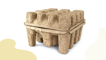 Zellstoff statt Styropor