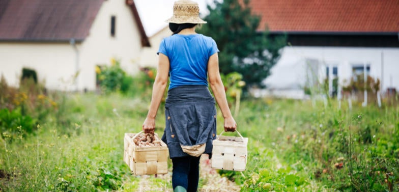 Garten_Nachhaltigkeit