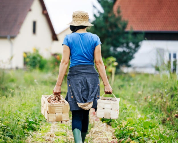 Frau_Garten_Körbe_Nachhaltigkeit