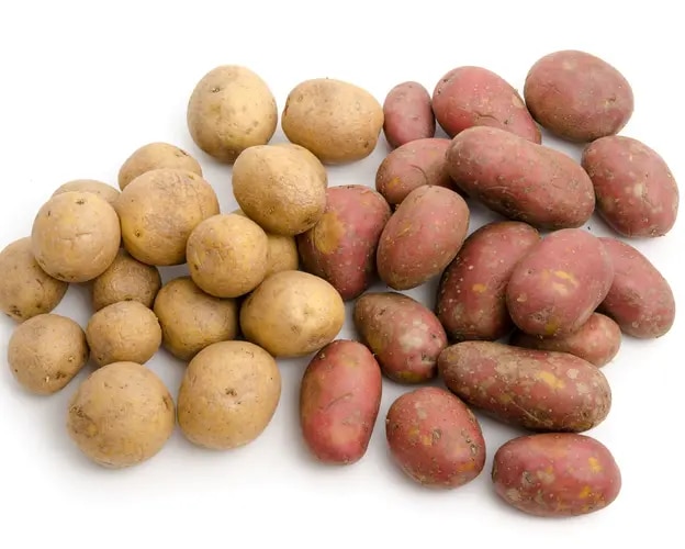 Kartoffelsorten