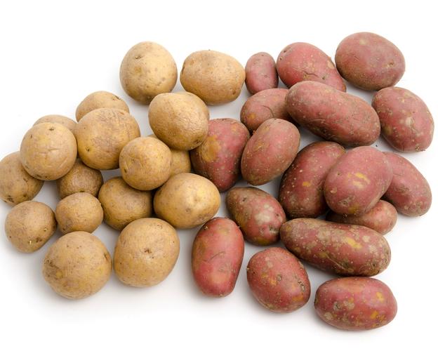 Kartoffelsorten