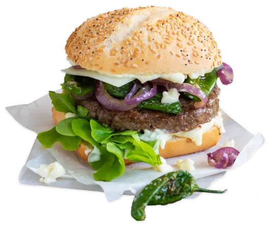 Burger Bild