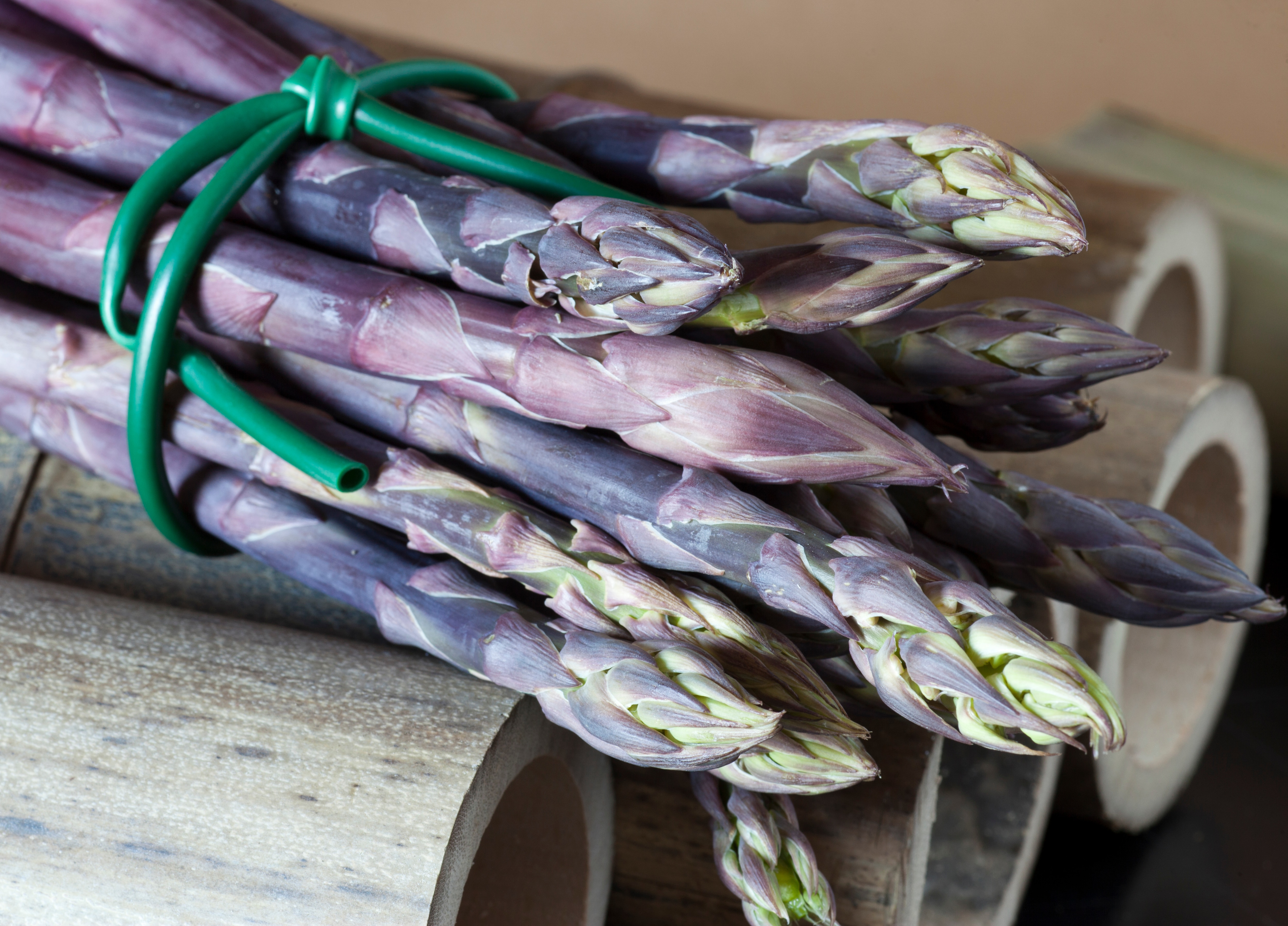 violetter Spargel